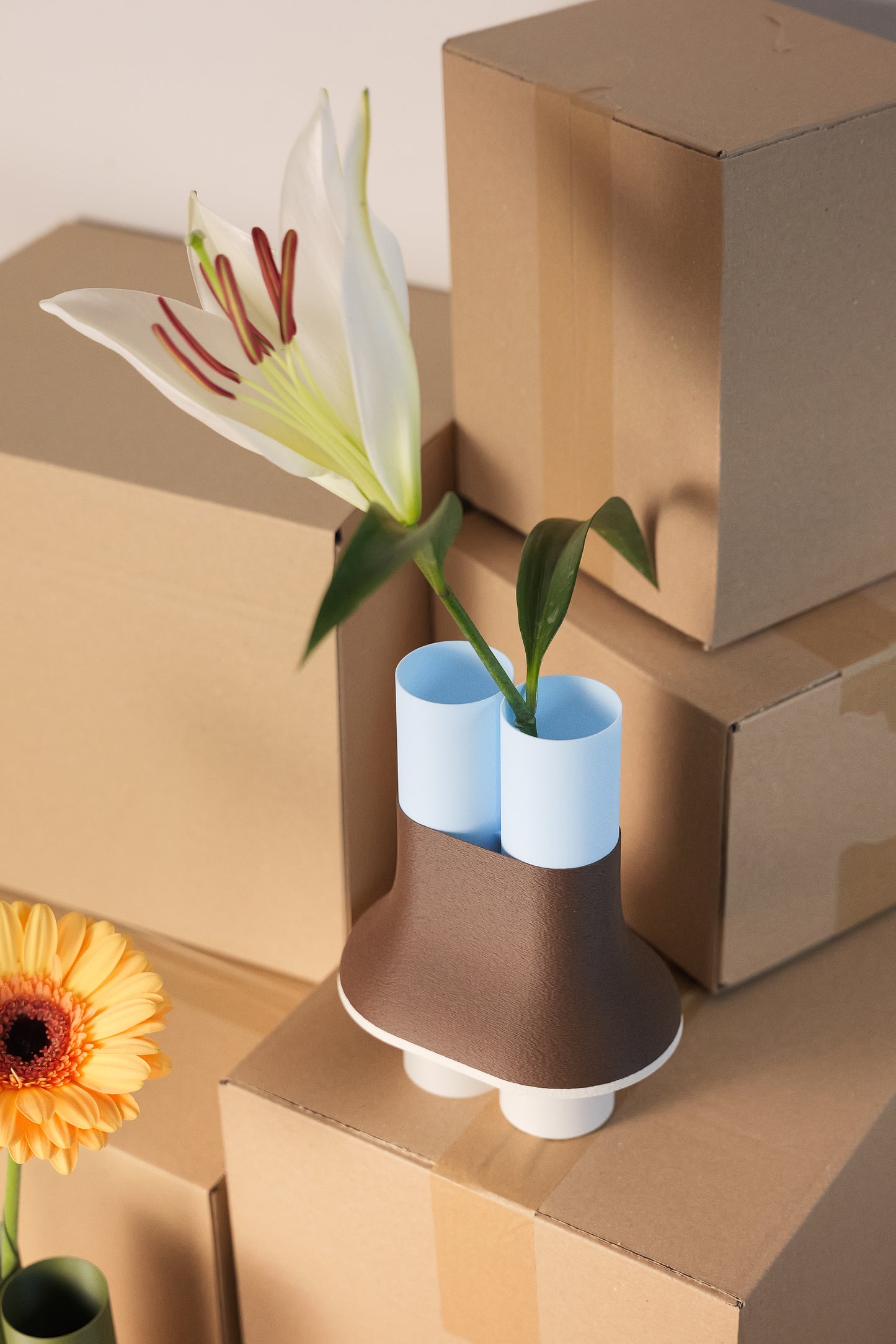 Horizon "nouveauté"