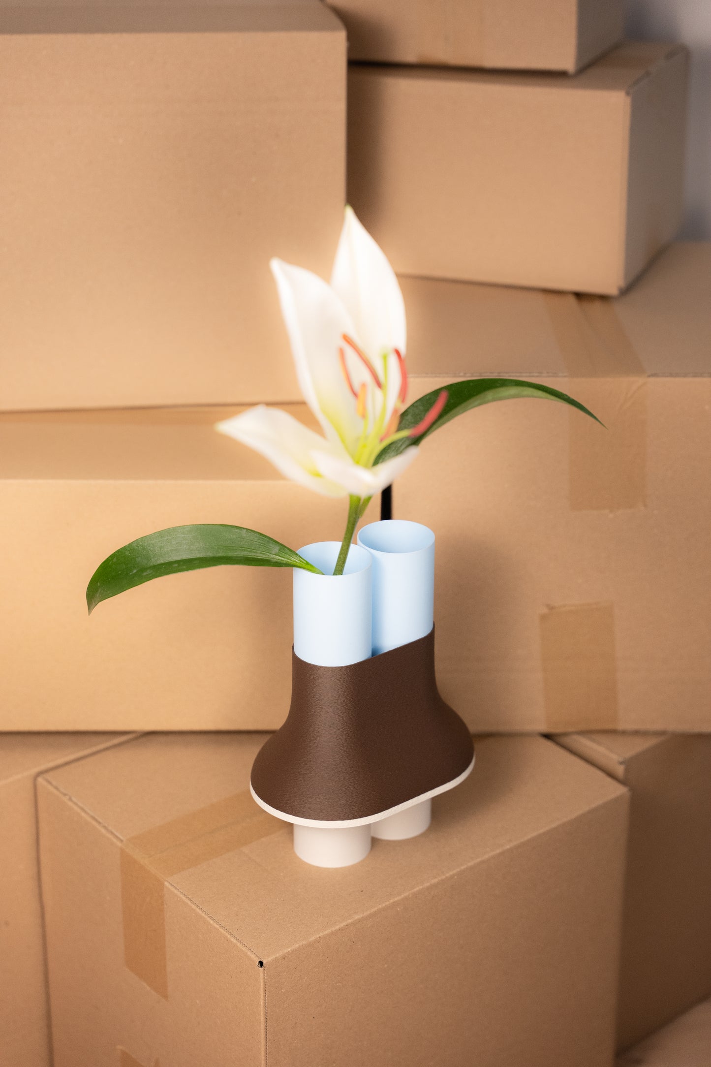 Horizon "nouveauté"