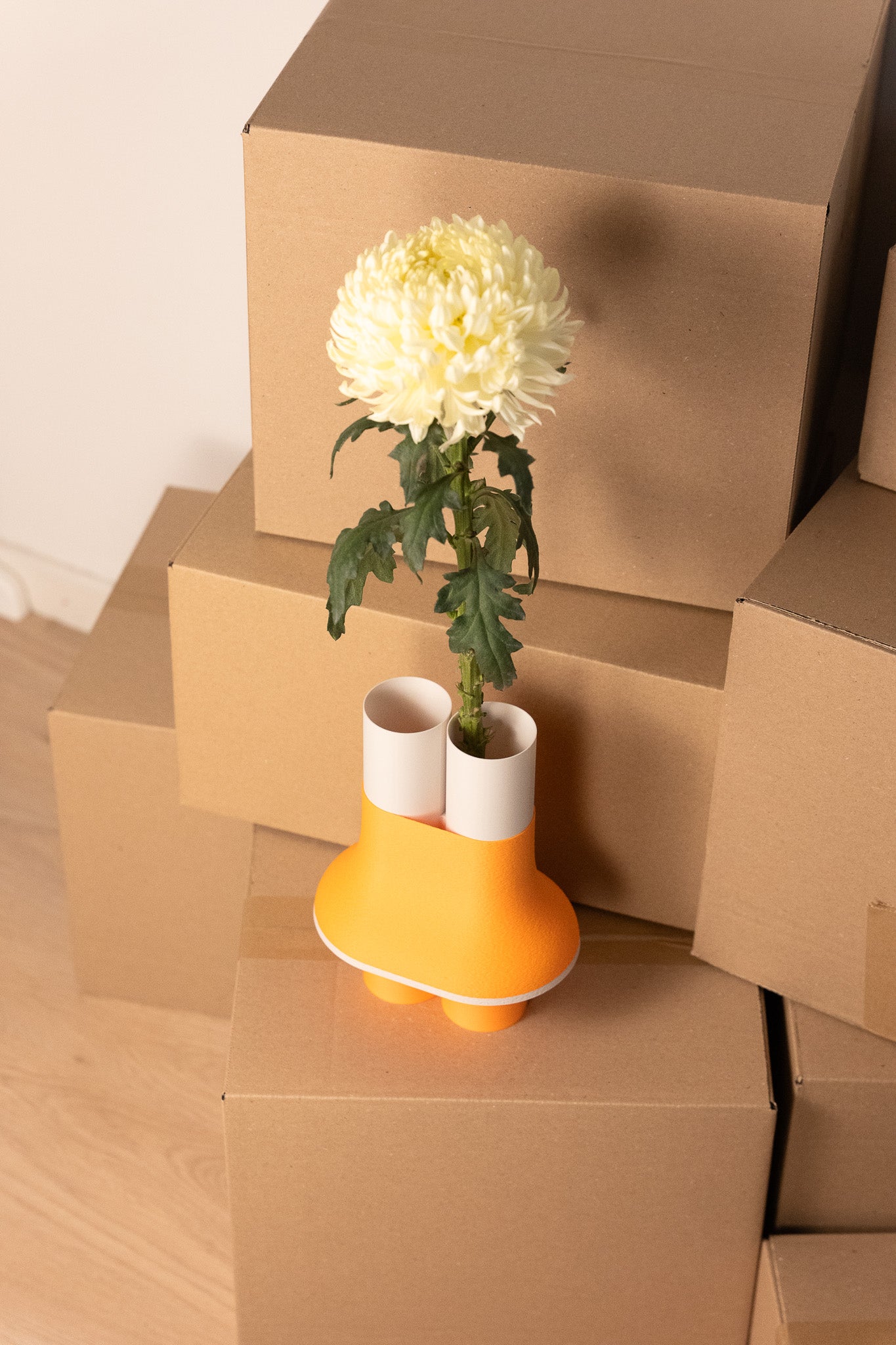 Horizon "nouveauté"