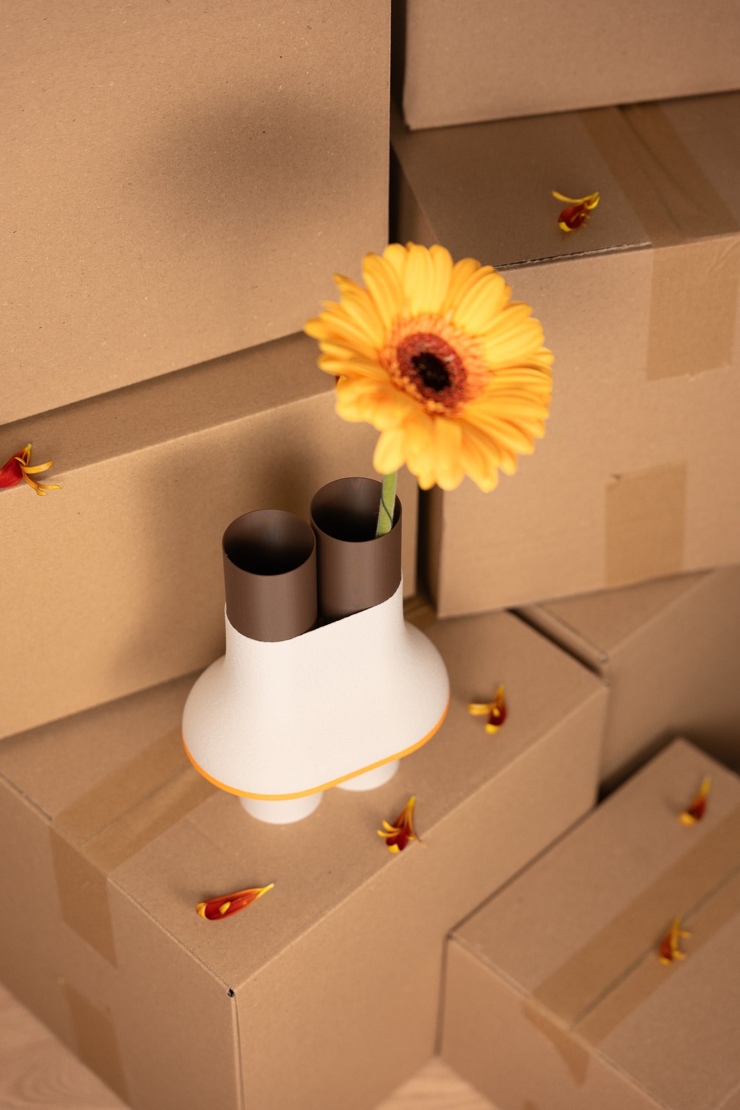 Horizon "nouveauté"