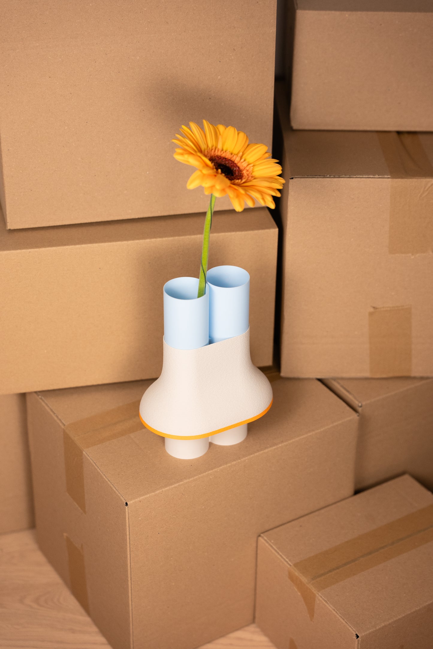 Horizon "nouveauté"