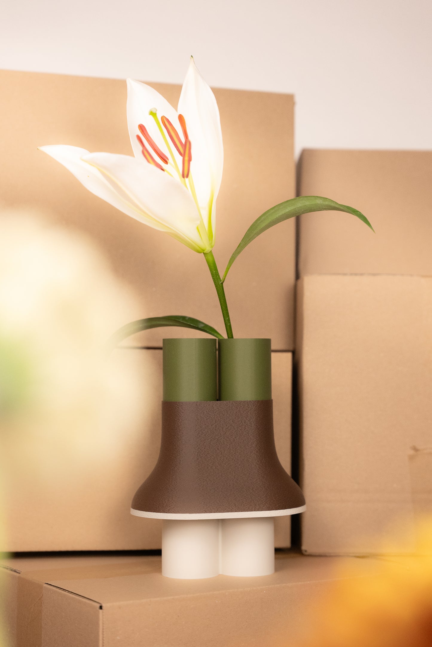 Horizon "nouveauté"