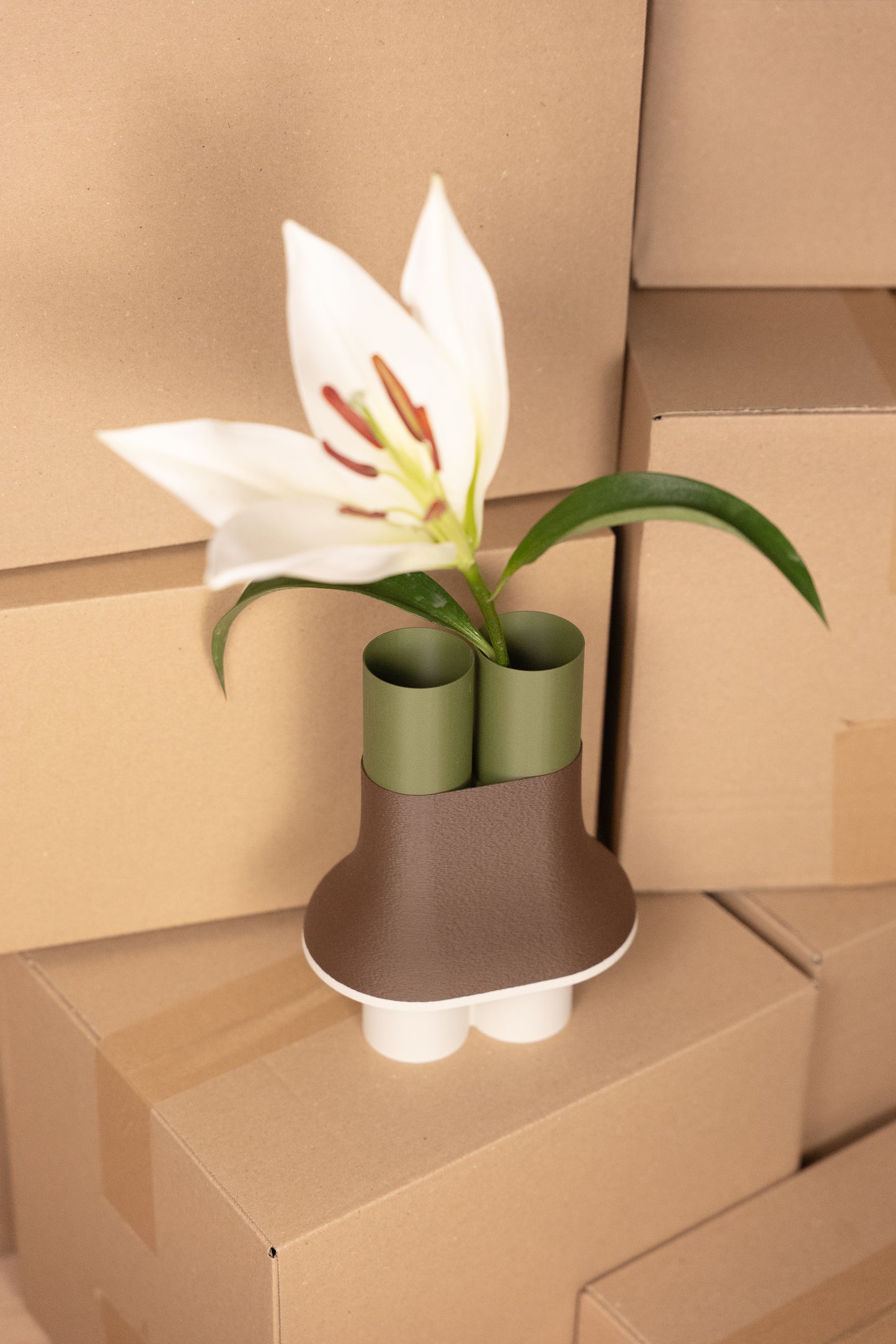 Horizon "nouveauté"